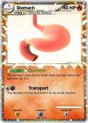 Stomach