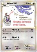 RIBOSOME