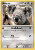 Koala
