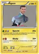 Pigeon