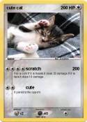 cute cat