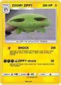 ZOOMY ZIPPY