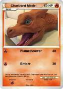 Charizard Model