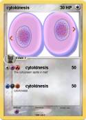 cytokinesis