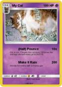 My Cat