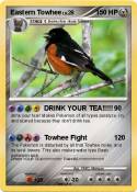 Eastern Towhee