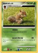squirrel