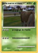vache marron et
