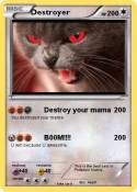 Destroyer