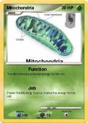 Mitochondria