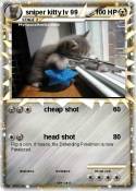 sniper kitty