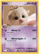Kitten