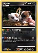 mignon