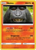 Monkey