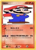 maleo