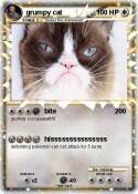 grumpy cat