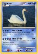 cygne