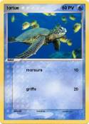 tortue