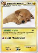 puppy of cutene