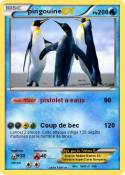 pingouine