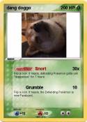 dang doggo