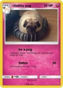 chubby pug