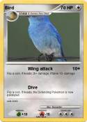 Bird
