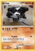 pti loup