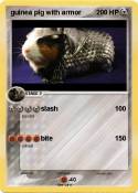 guinea pig with