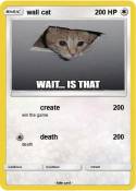 wall cat