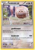bouboule cat