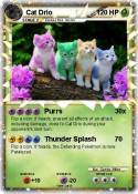 Cat Drio
