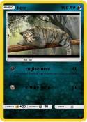 tigre