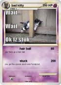 bad kitty