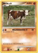 Vache