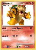 bowser