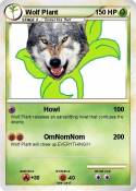 Wolf Plant