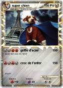 super chien