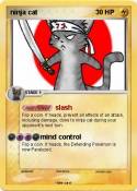 ninja cat