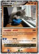 sniper cat