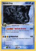 Splash Dog