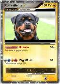 Rottweiler