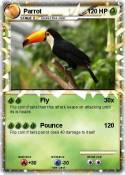 Parrot