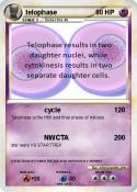 telophase