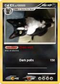 Cat EX