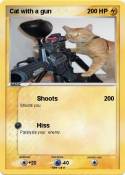 Cat with a gun
