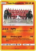 Team Redhawkchu