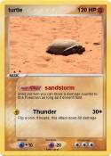 turtle