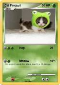 Cat Frog