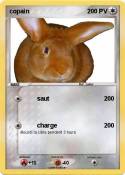 copain